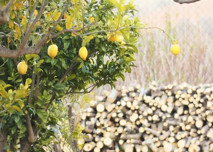 Indipendente Jacuzzi Giardino Clima Wifi *