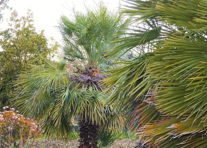 Vila Indipendente Jacuzzi Giardino Clima Wifi Castellammare del Golfo